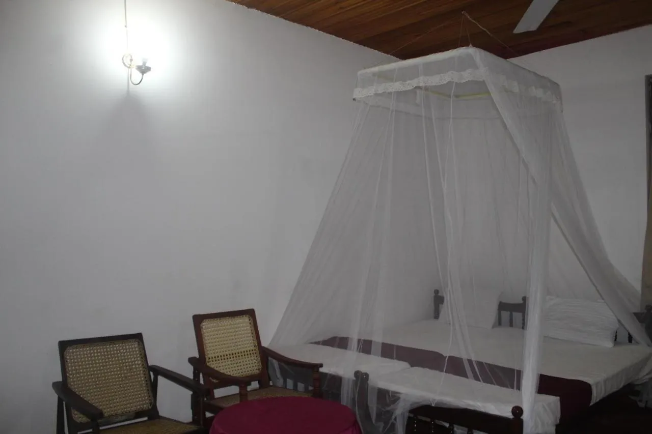 Lazy Bear Best Hostel In Kandy Sri Lanka