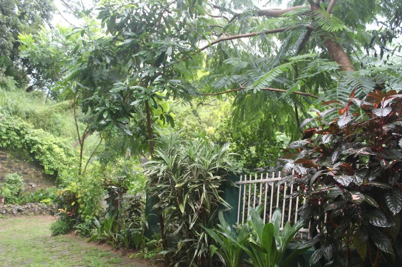 Lazy Bear Best Hostel In Kandy