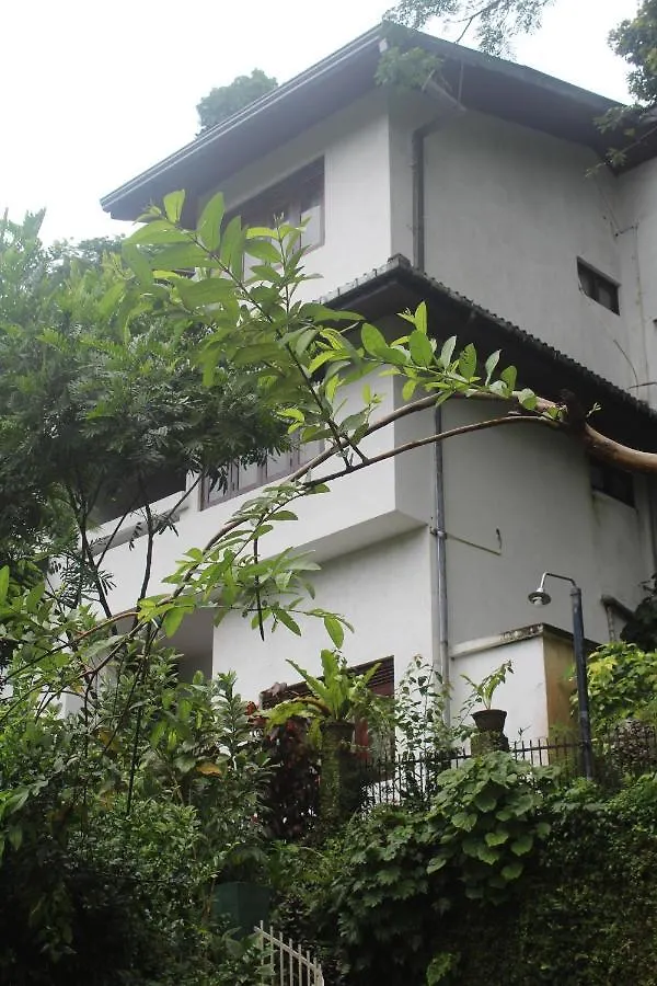 Lazy Bear Best Hostel In Kandy