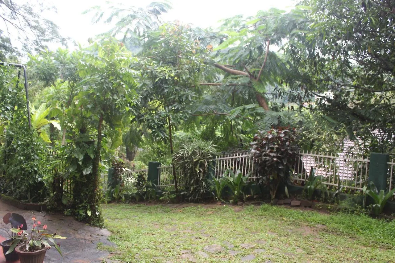 Lazy Bear Best Hostel In Kandy Sri Lanka