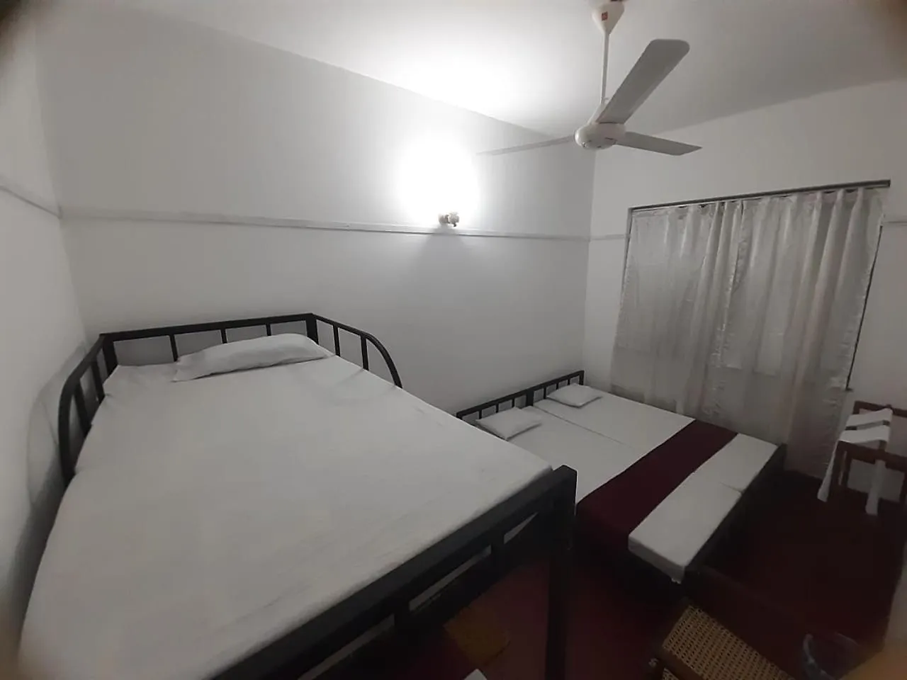Lazy Bear Best Hostel In Kandy