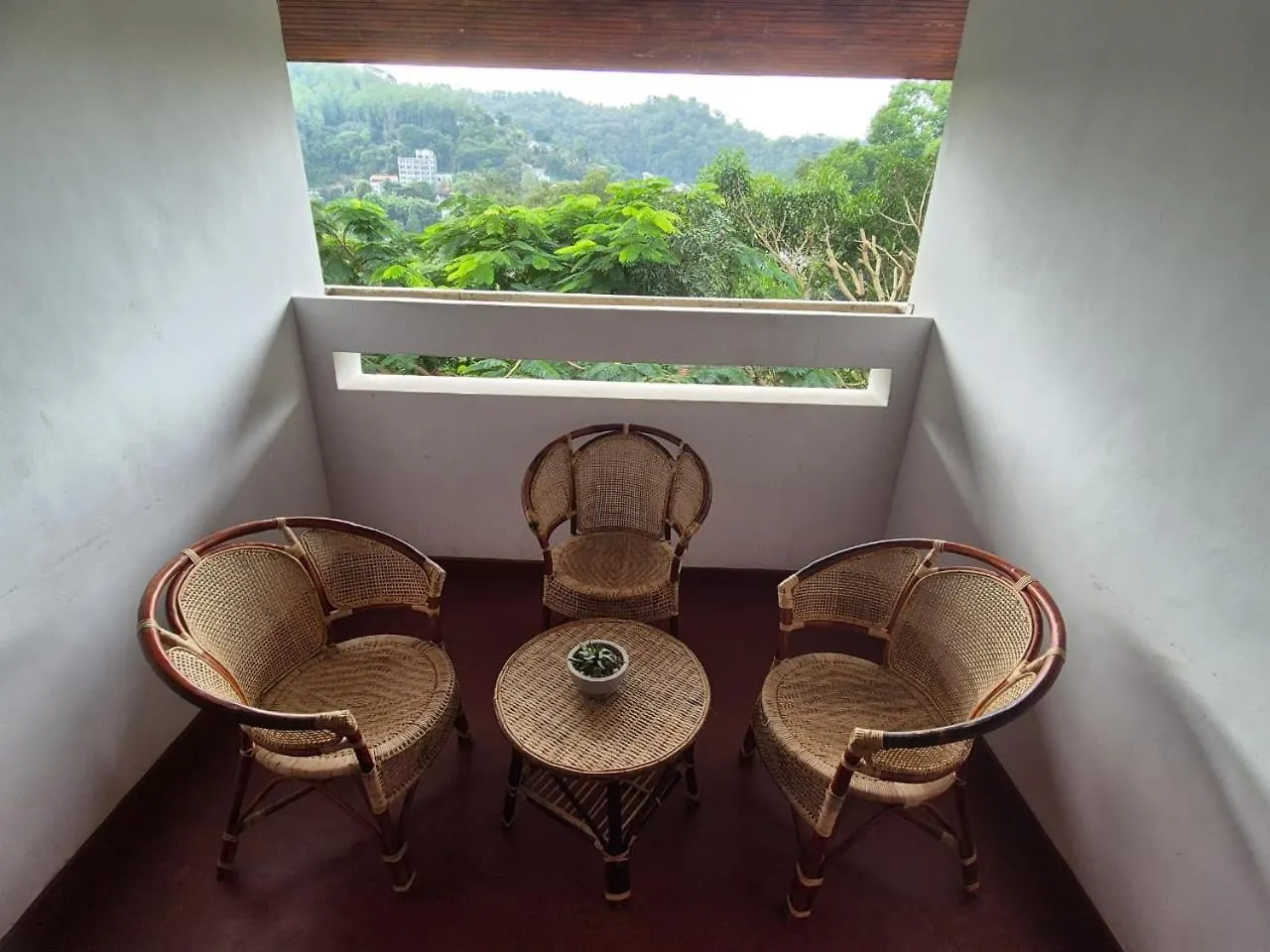 Lazy Bear Best Hostel In Kandy 0*,